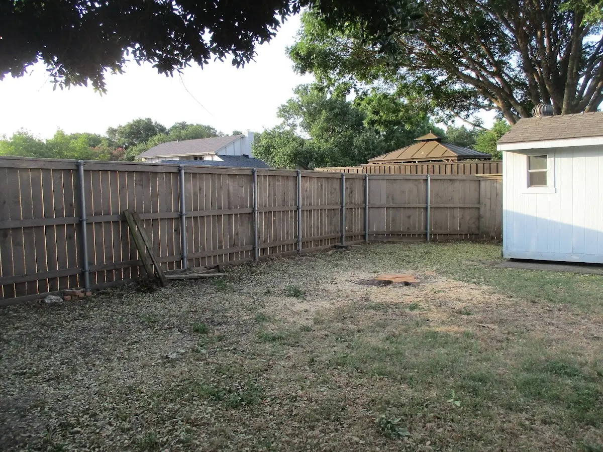 Cleared yard after professional tree removal in Rochester