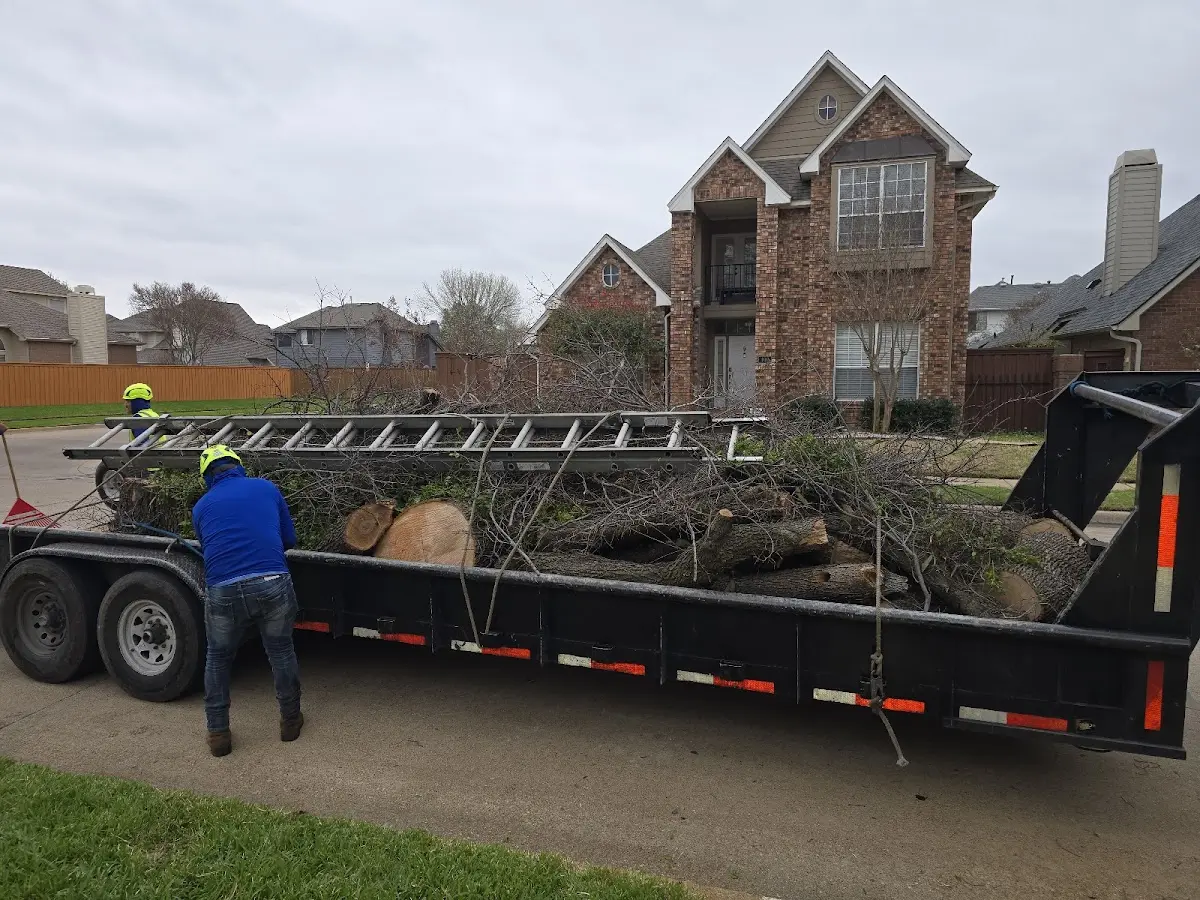 Expert Tree Fertilization with proper safety equipment in Rochester